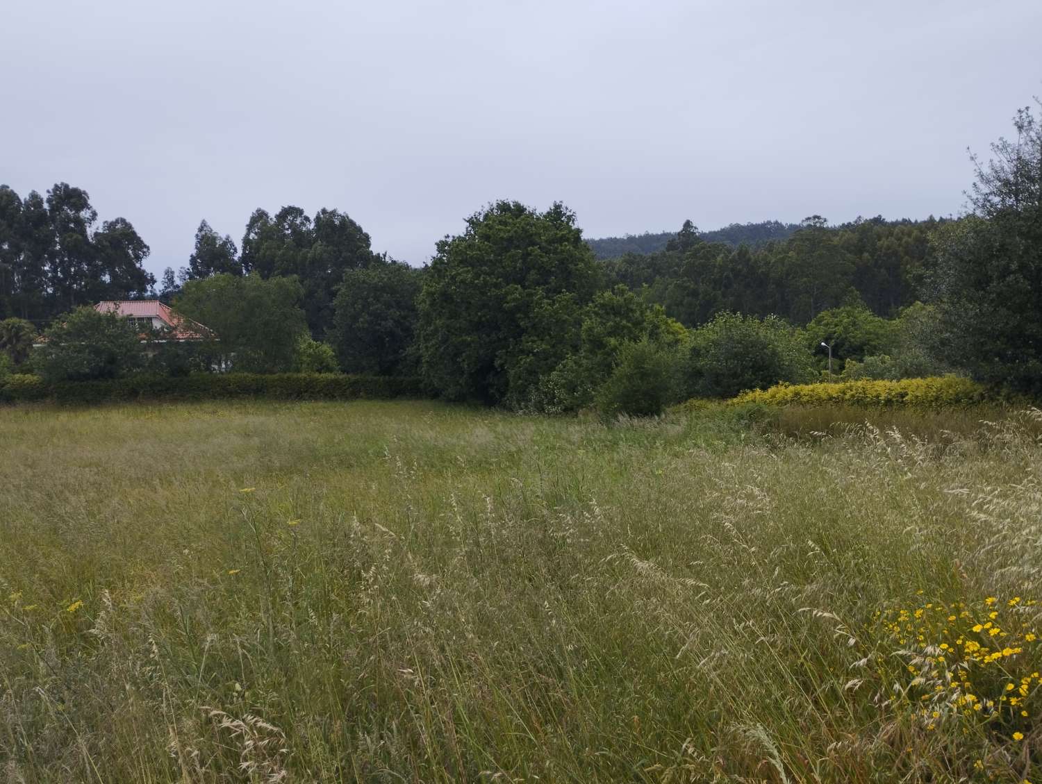 Parzelle zum verkauf in Mugardos