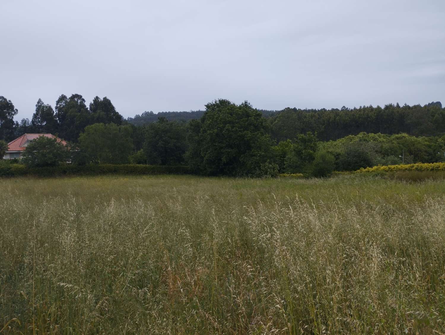 Parzelle zum verkauf in Mugardos