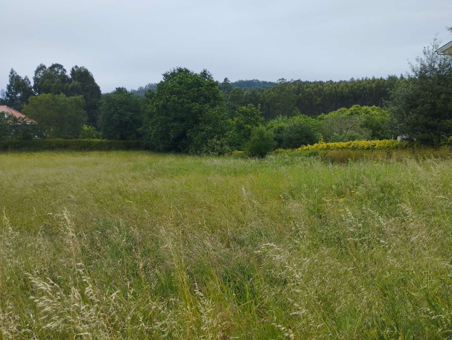 Parzelle zum verkauf in Mugardos