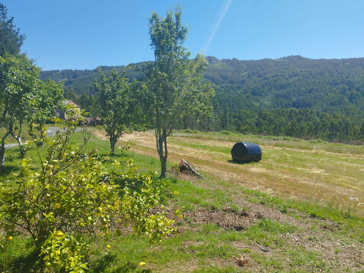 En venta casa con finca en San Sadurniño.