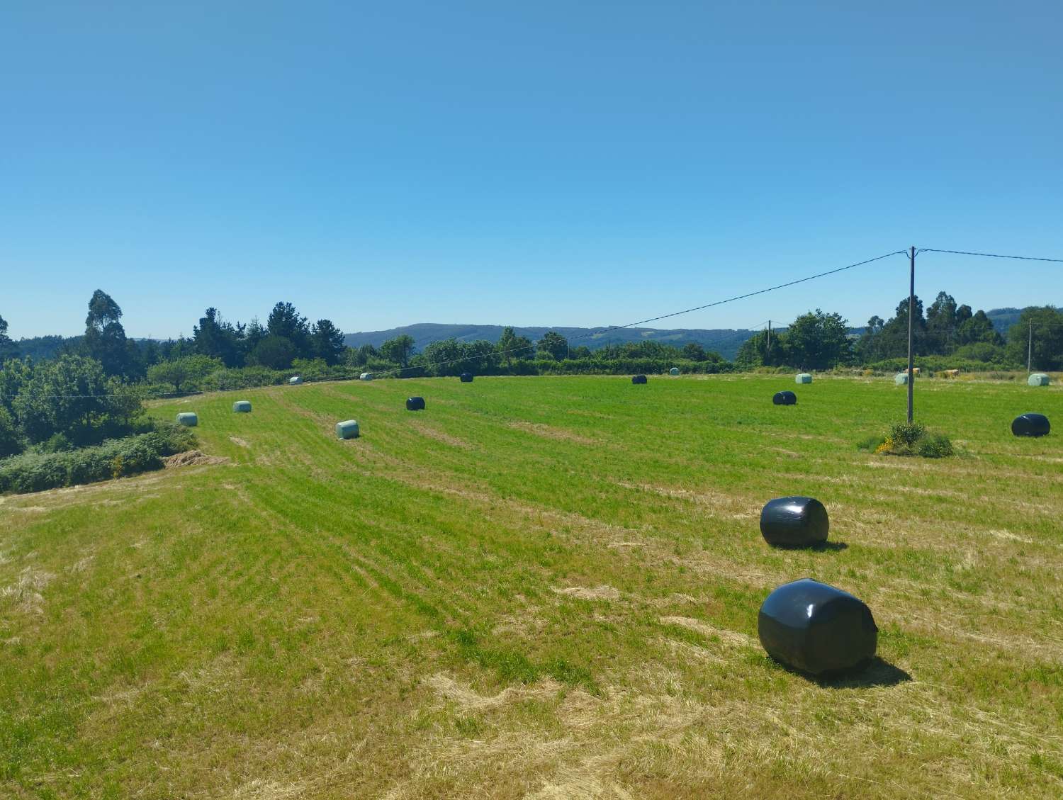 En venta casa con finca en San Sadurniño.