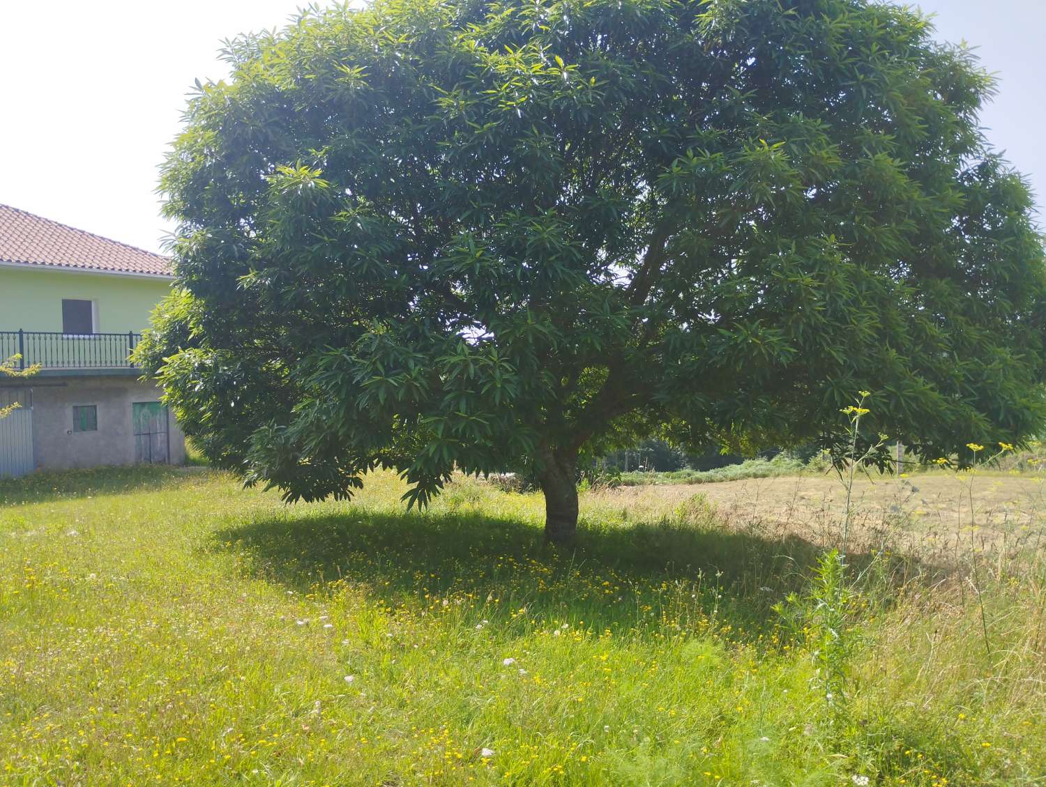 Maison en vente à Cerdido