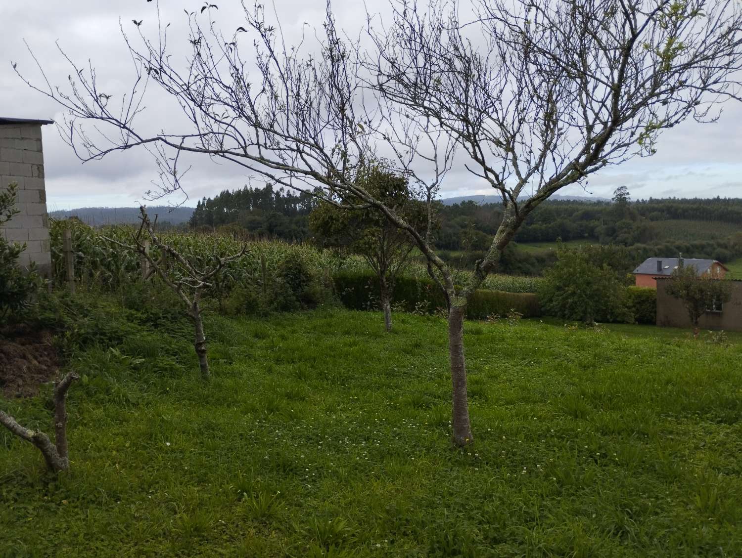 Maison en vente à Moeche