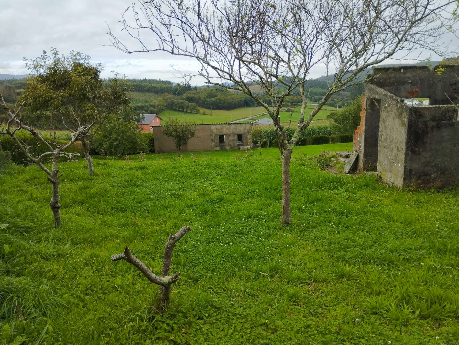 Casa en venta en Moeche.