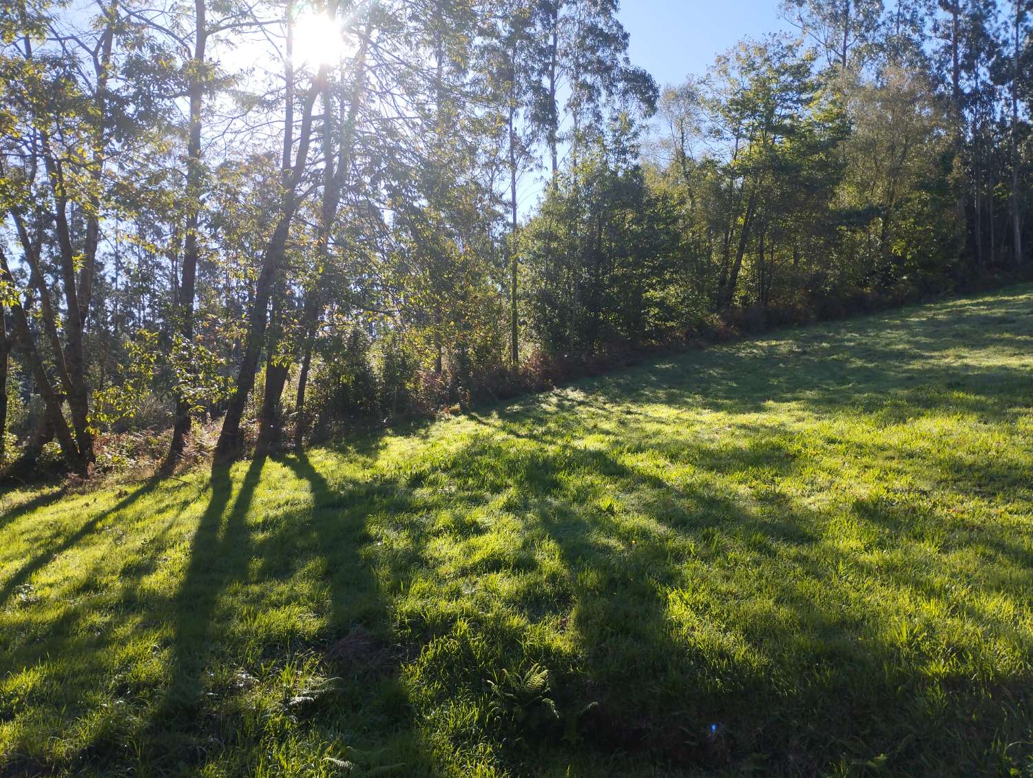 Hus till salu i San Sadurniño