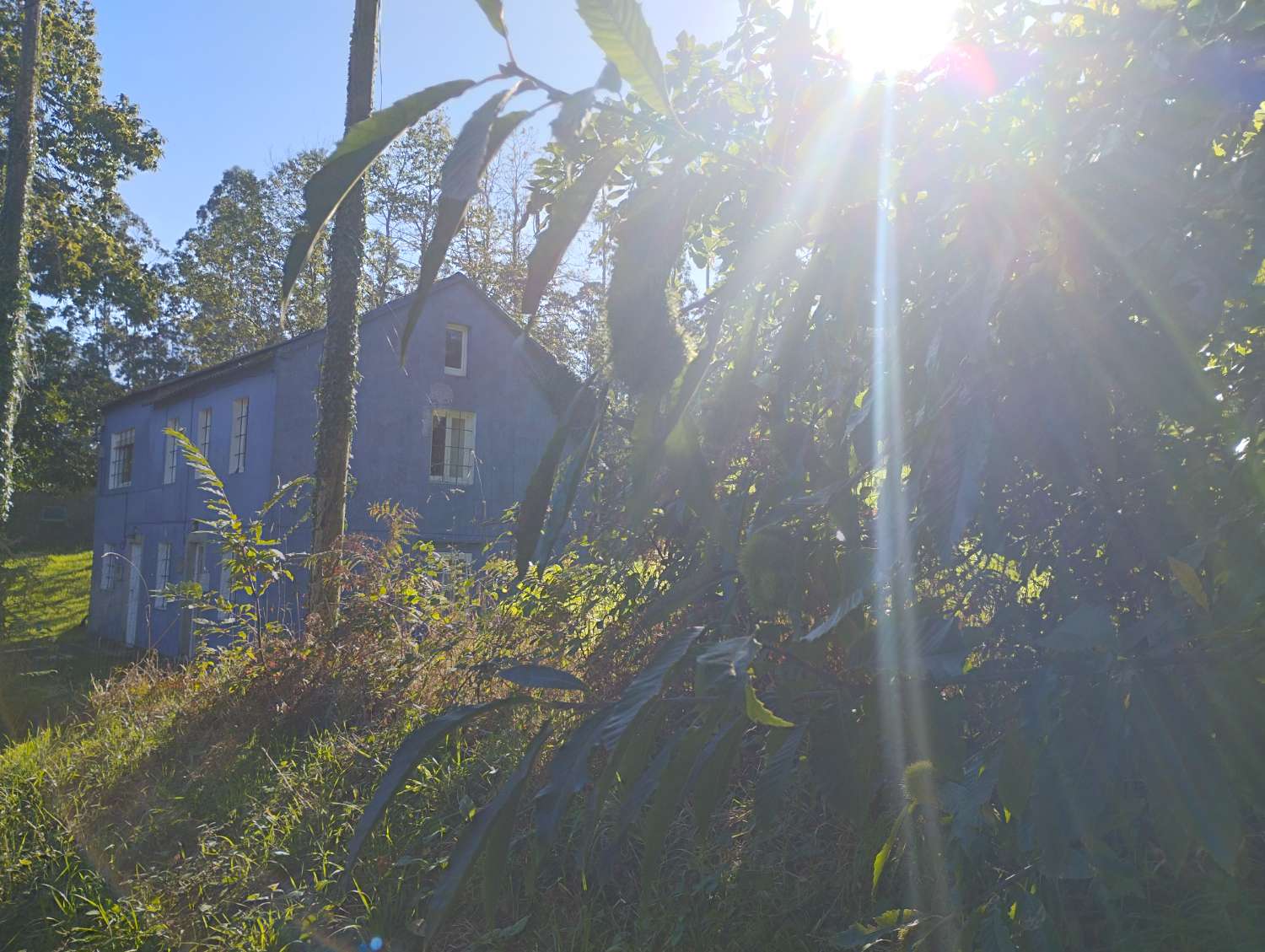 Hus till salu i San Sadurniño