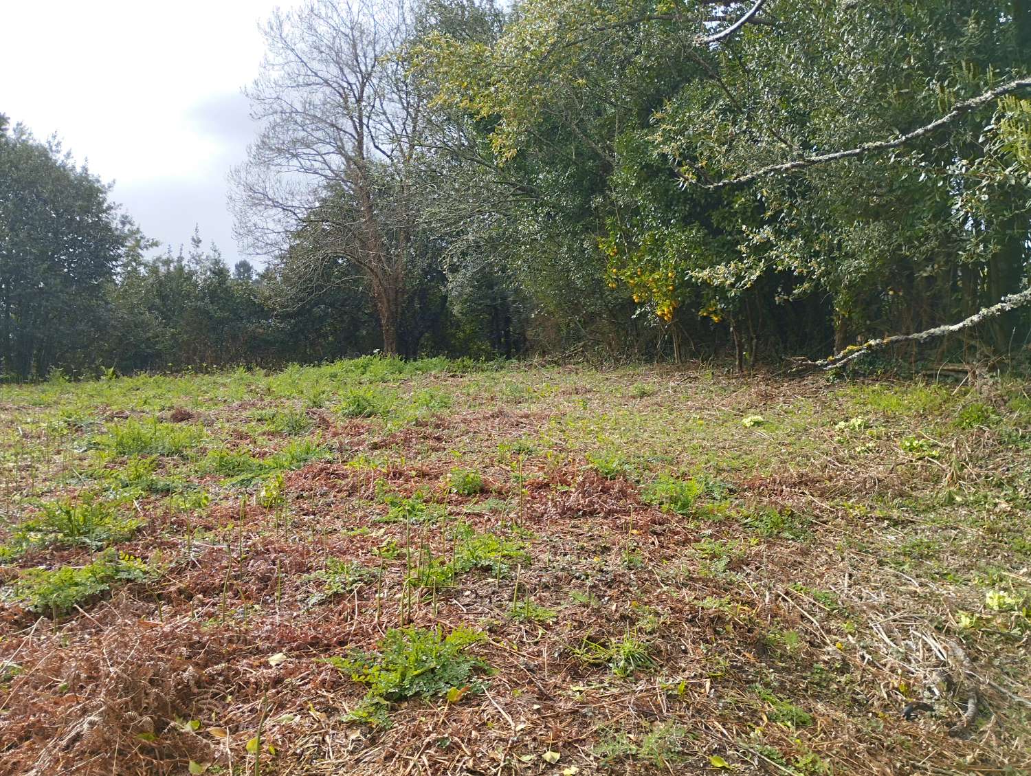 Maison en vente à Cabanas