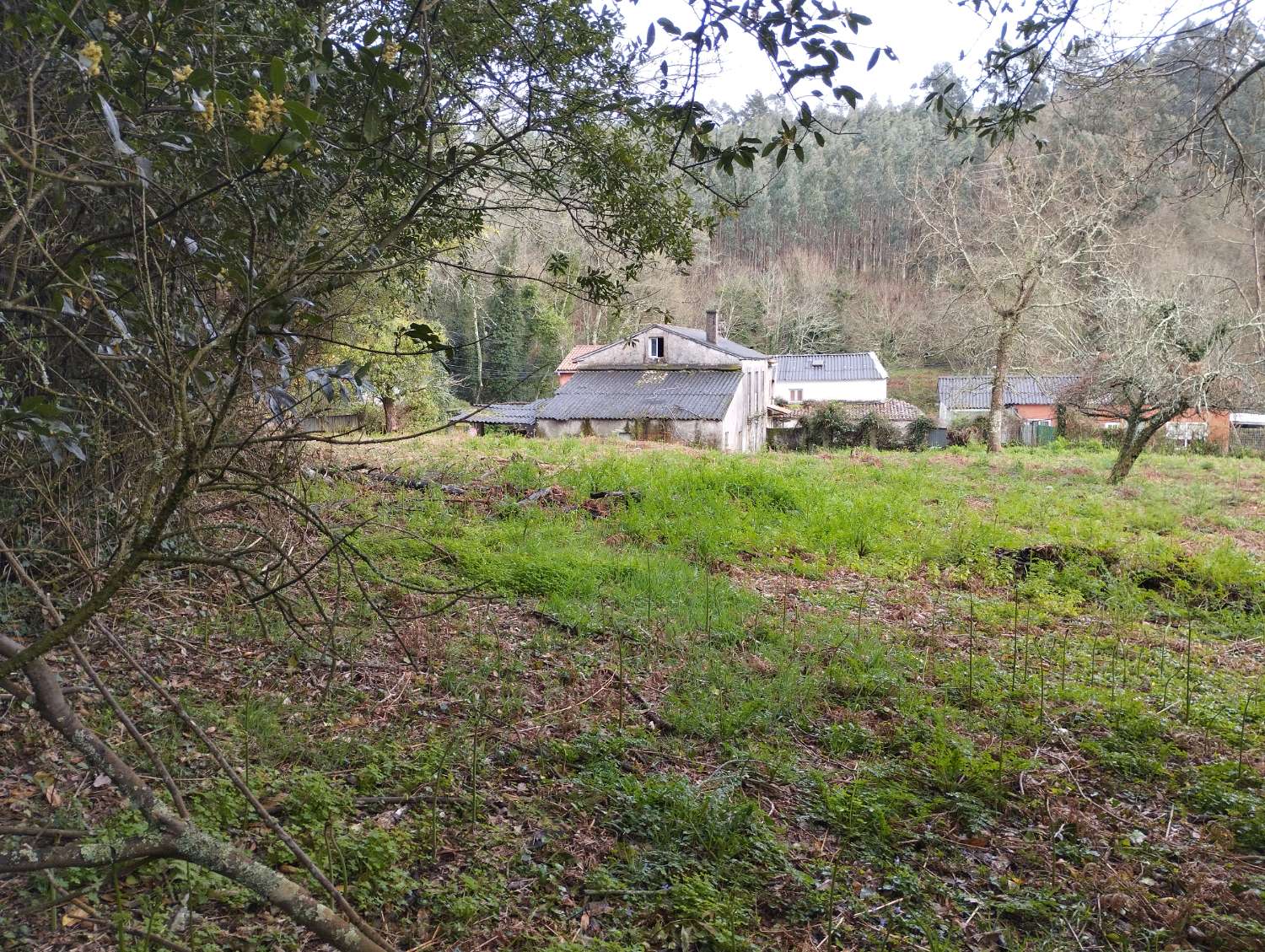 Maison en vente à Cabanas