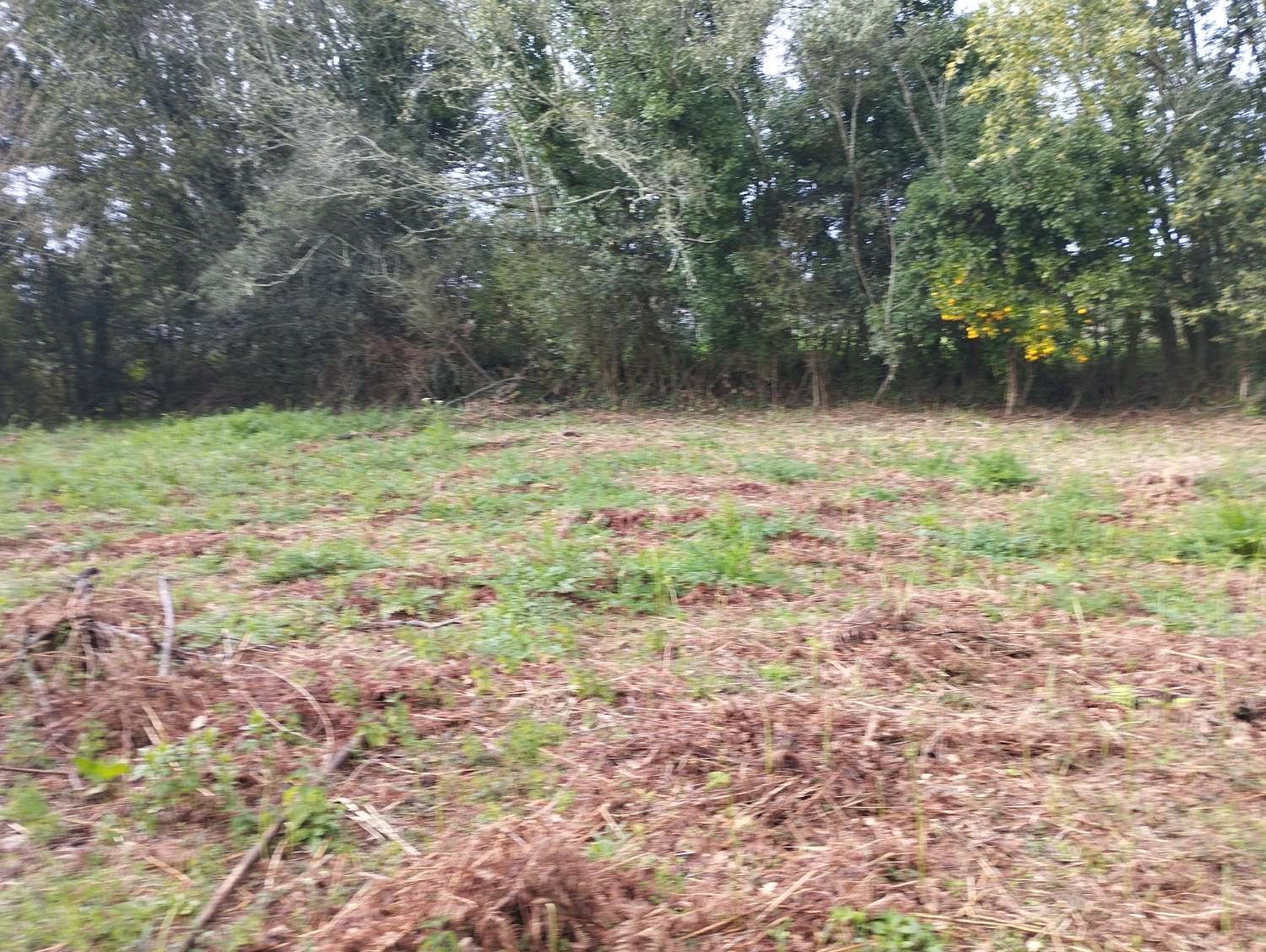 Maison en vente à Cabanas