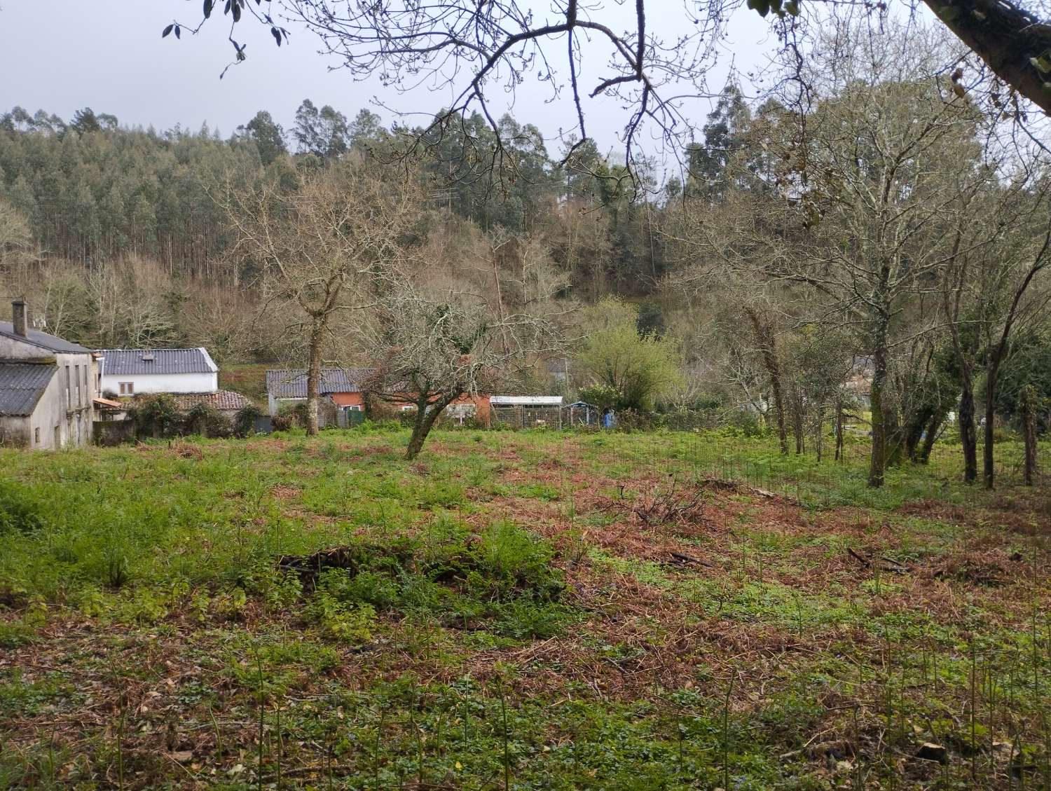 Maison en vente à Cabanas
