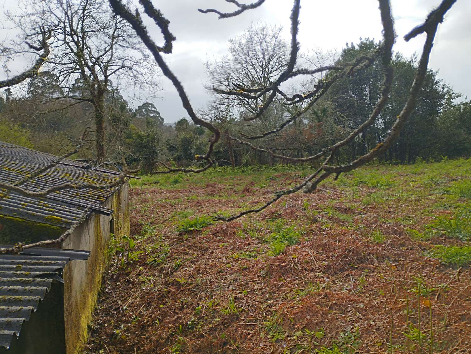 Maison en vente à Cabanas
