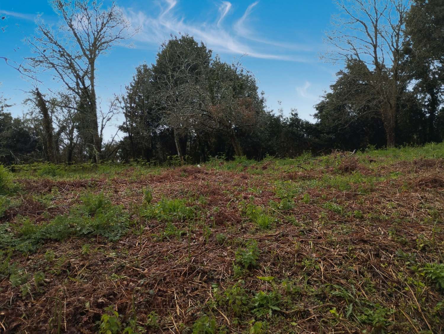 Maison en vente à Cabanas