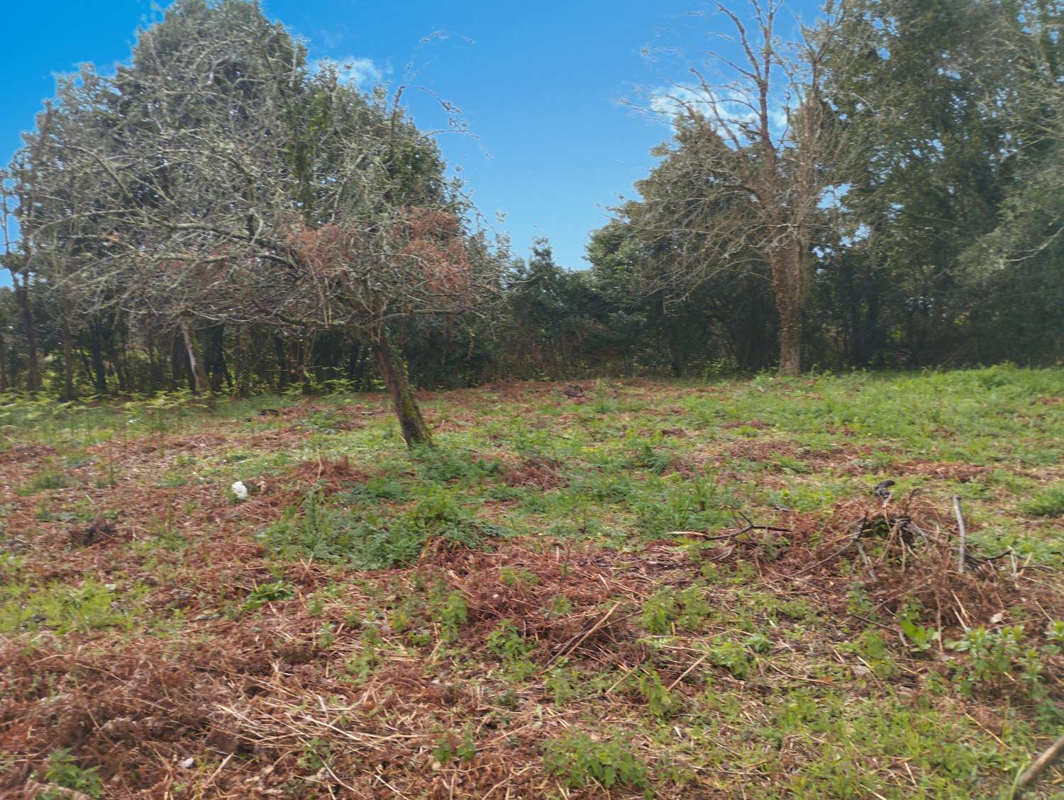 Maison en vente à Cabanas