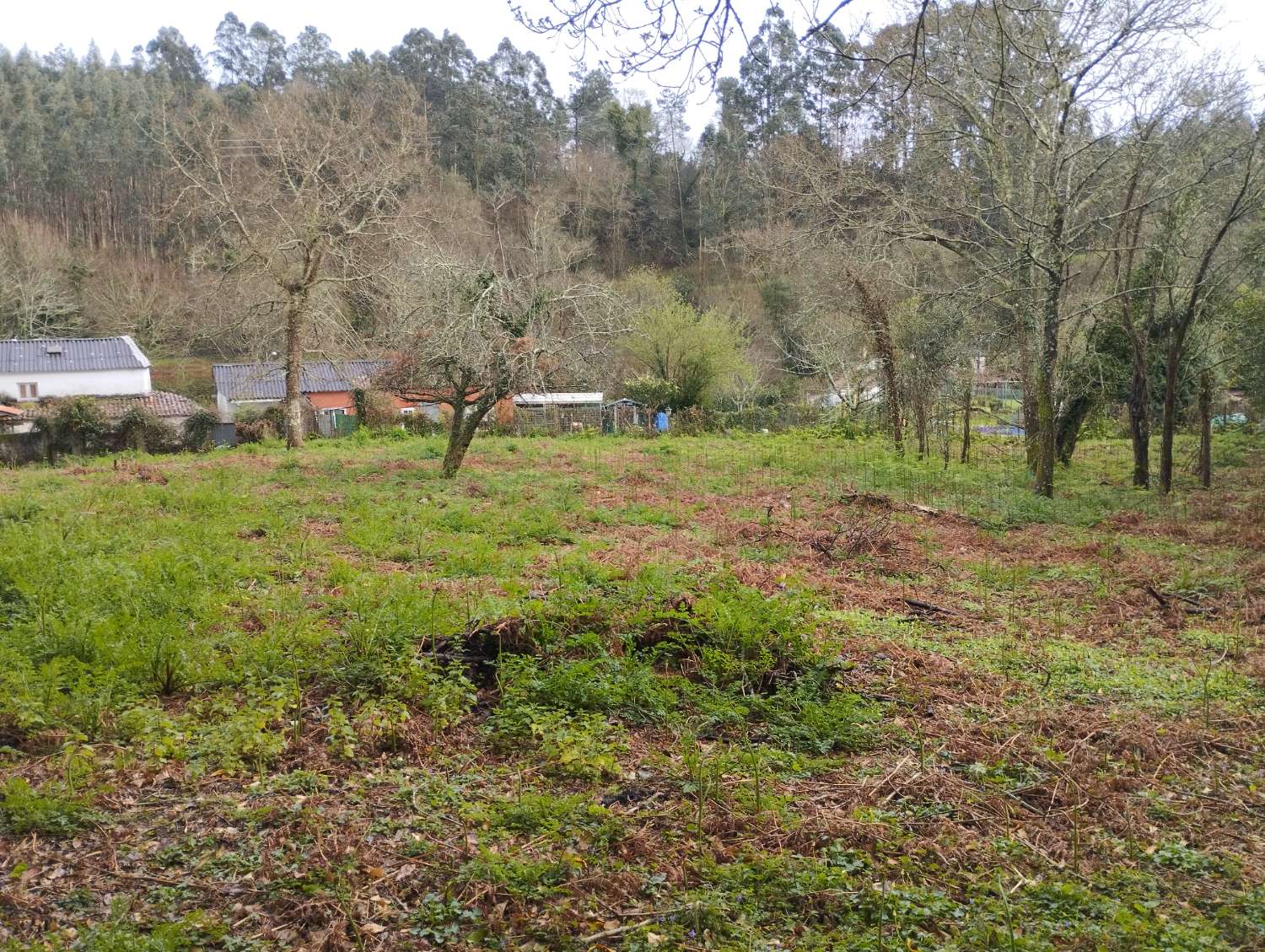 Maison en vente à Cabanas