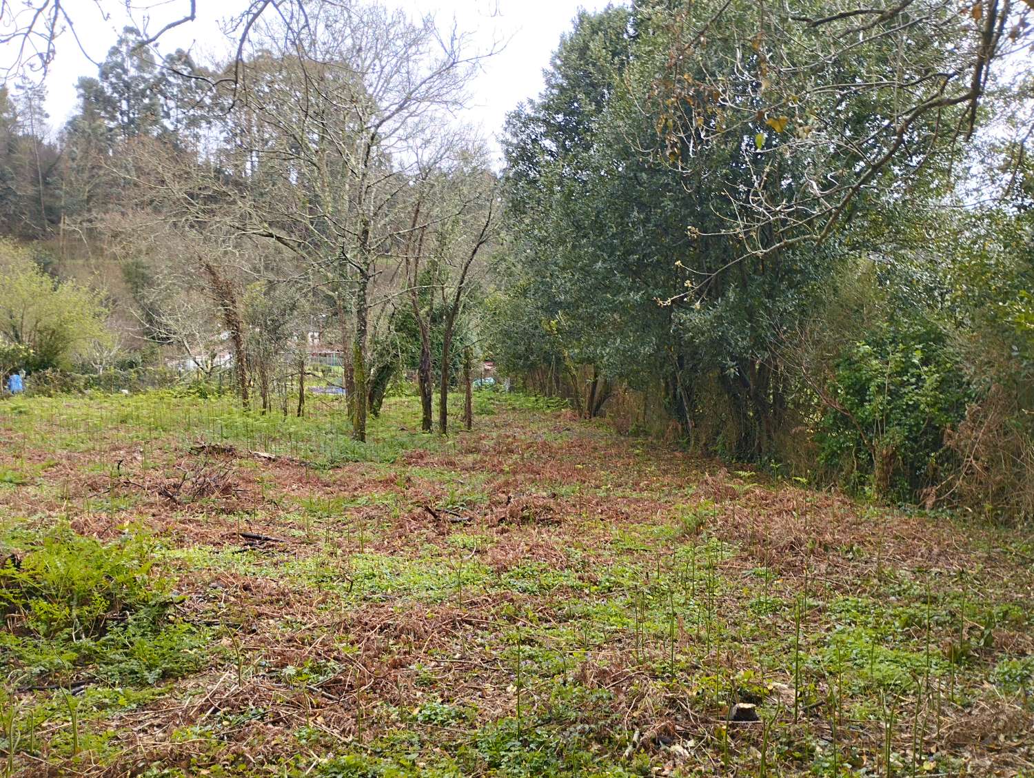 Maison en vente à Cabanas