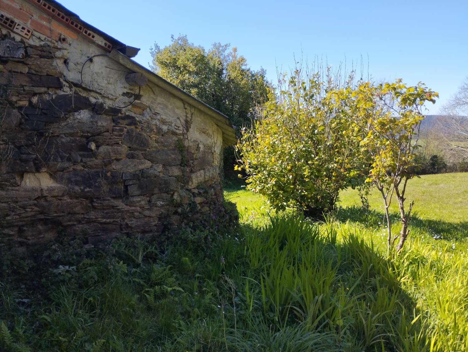 Hus til salg i As Somozas