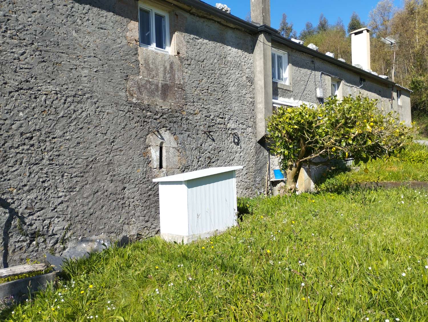 Hus til salg i As Somozas