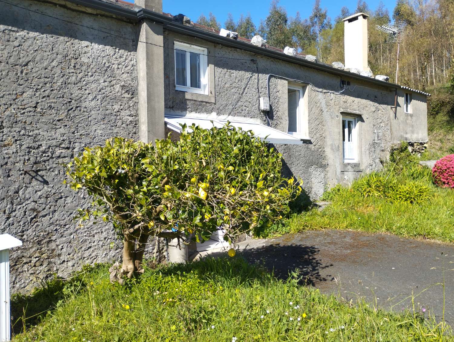 Hus til salg i As Somozas