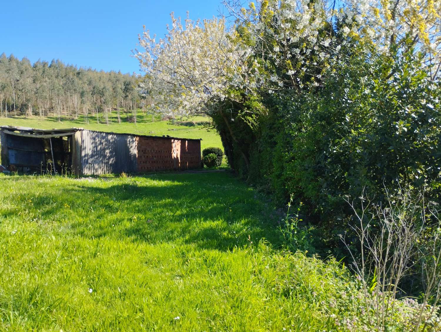 Hus til salg i As Somozas