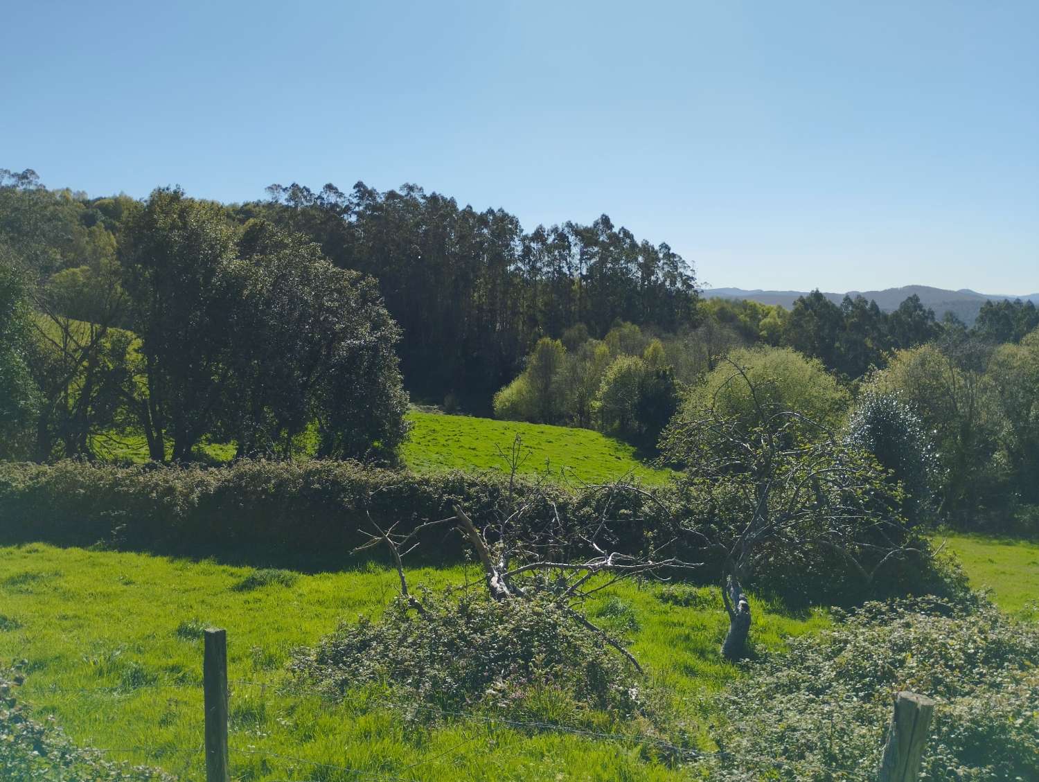 Hus til salg i As Somozas