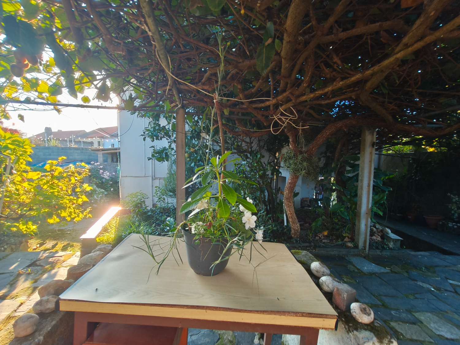 Casa en venta en Ortigueira.