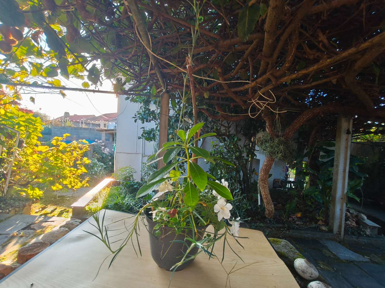Casa en venta en Ortigueira.