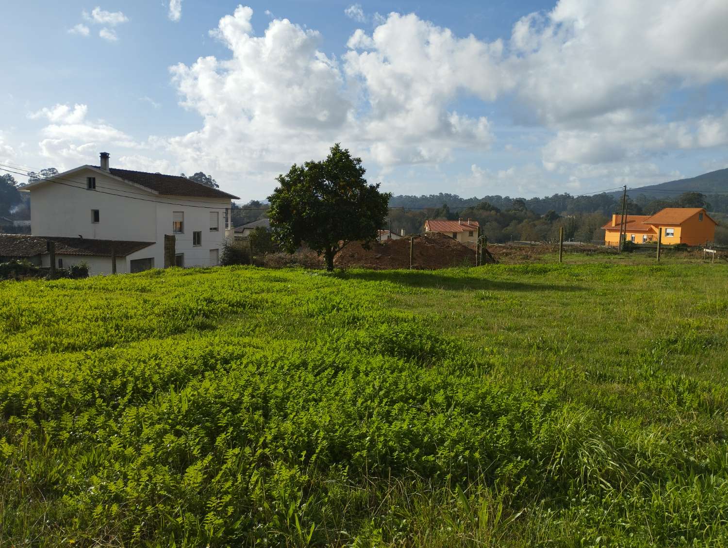 участок земли в продаже в O Rosal