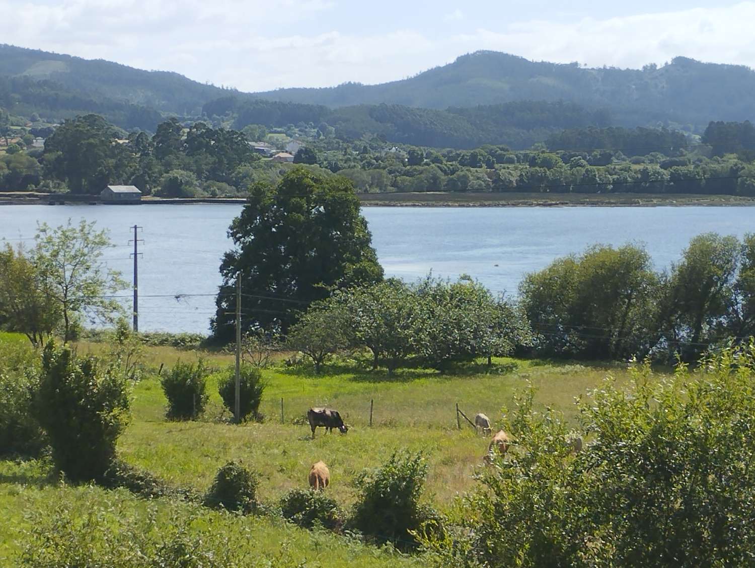 屋 出售 在 Ortigueira