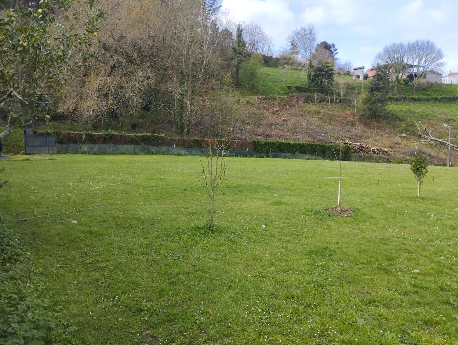 Plot for sale in Pontedeume