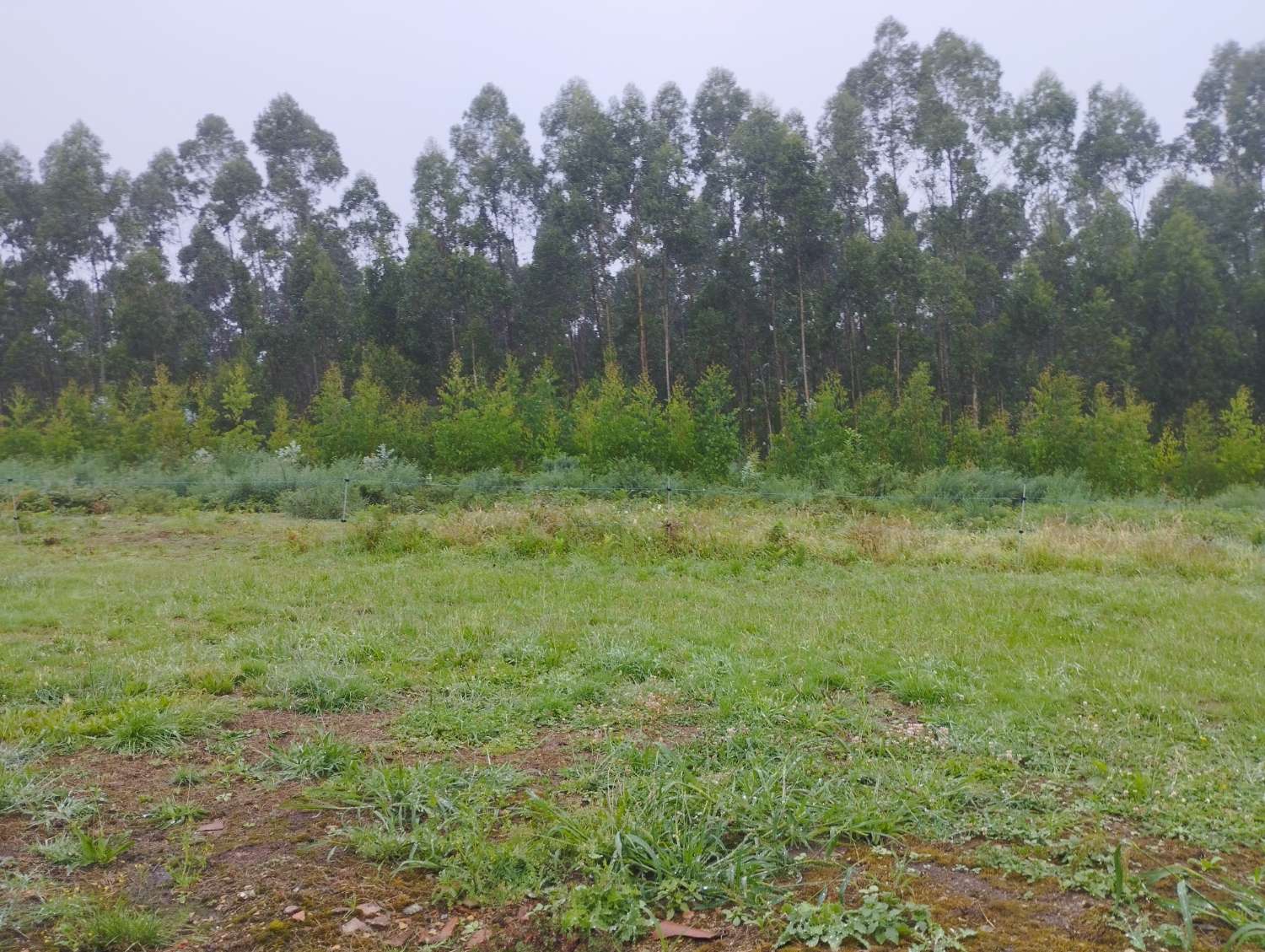 En venta casa con finca en San Sadurniño