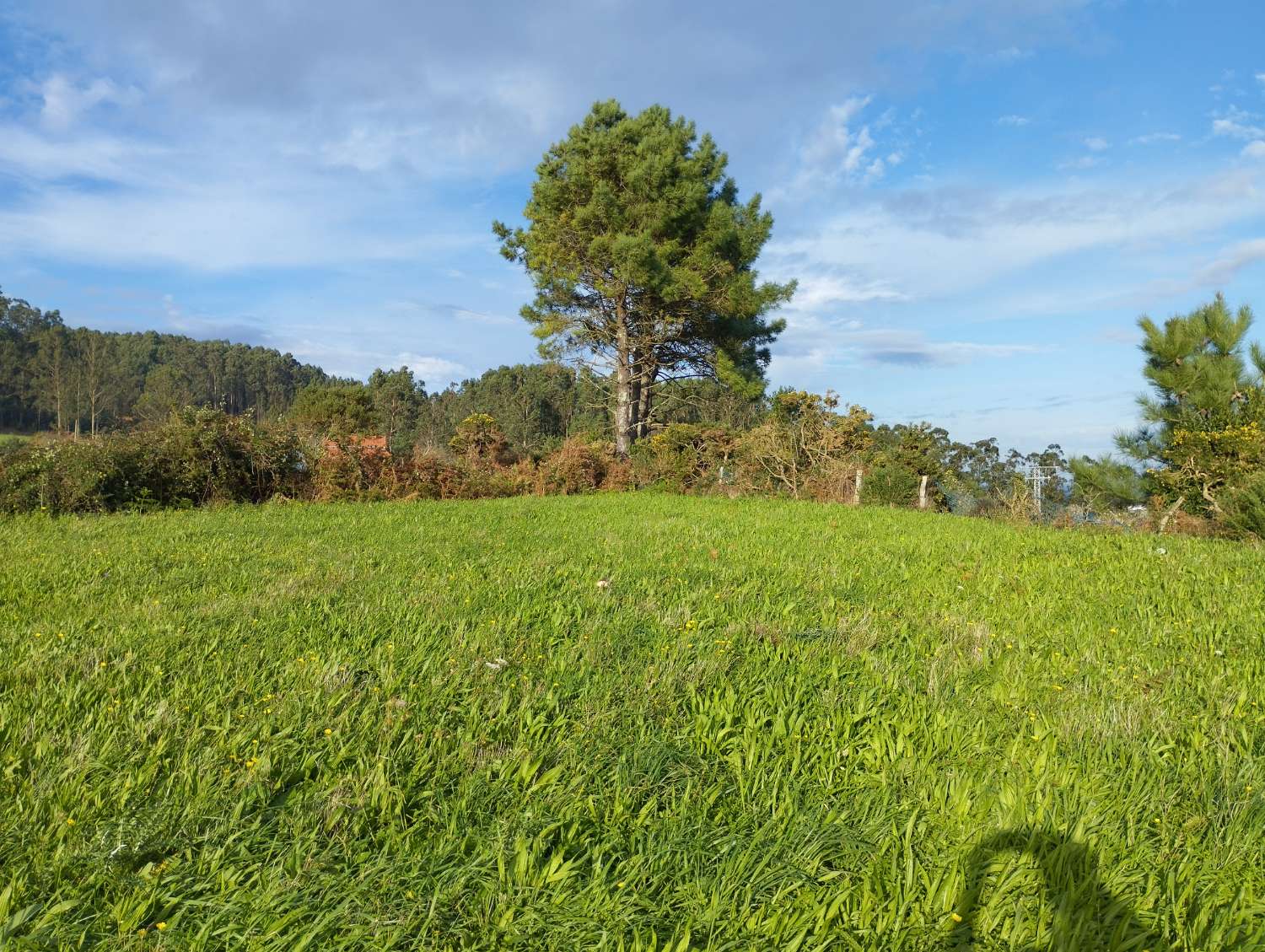 Hus till salu i Valdoviño