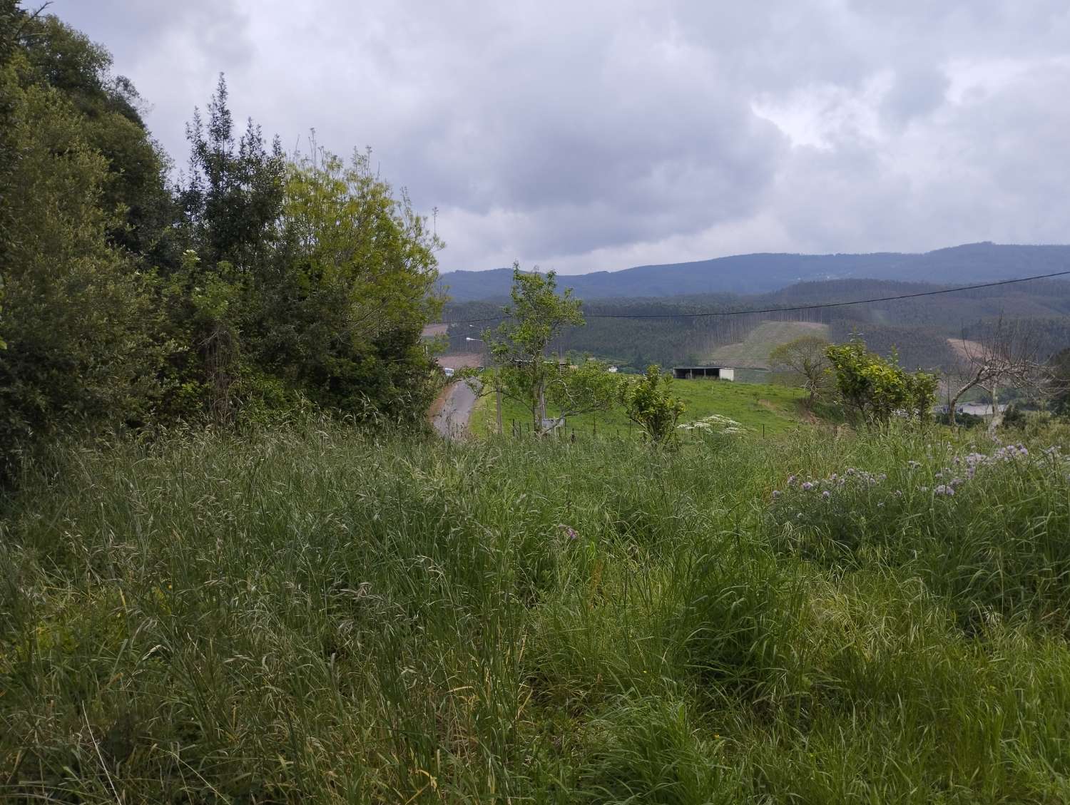 Casa en venta en Cedeira