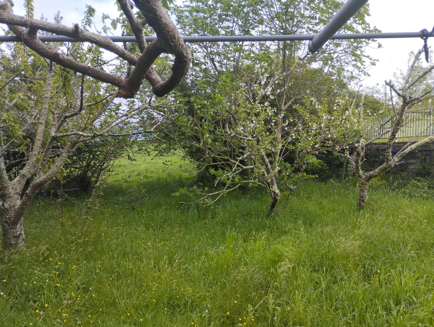 Gran cas aen venta en San Sadurniño, A Coruña.