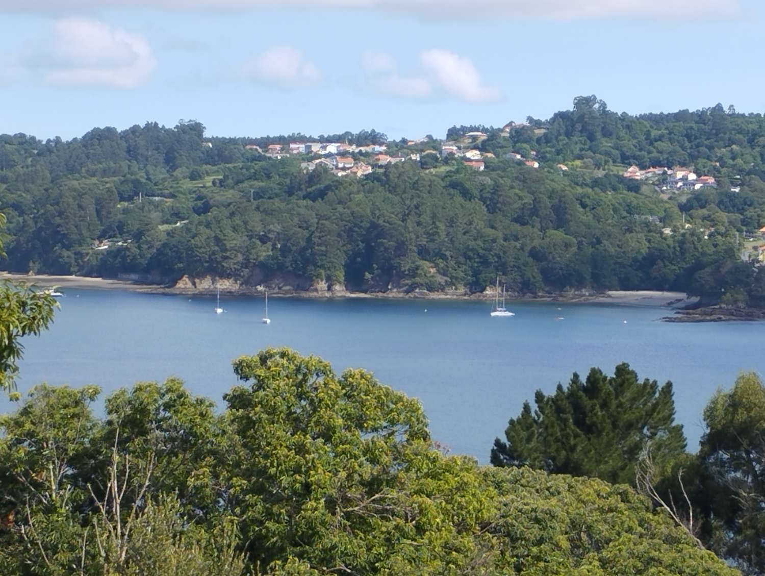 Wohnung zum verkauf in Pontedeume