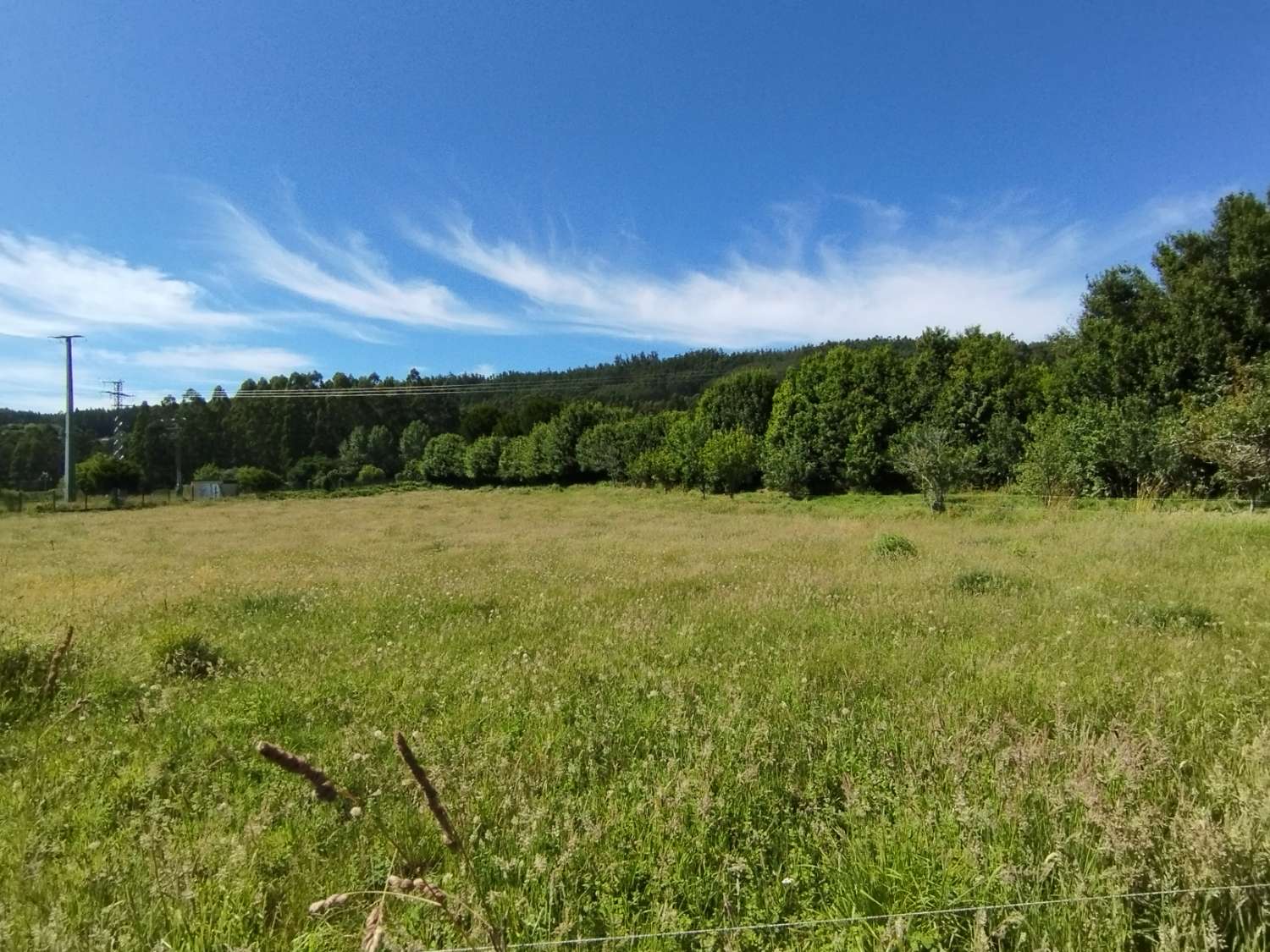 En venta gran casa con gran finca en Cerdido, A Coruña.