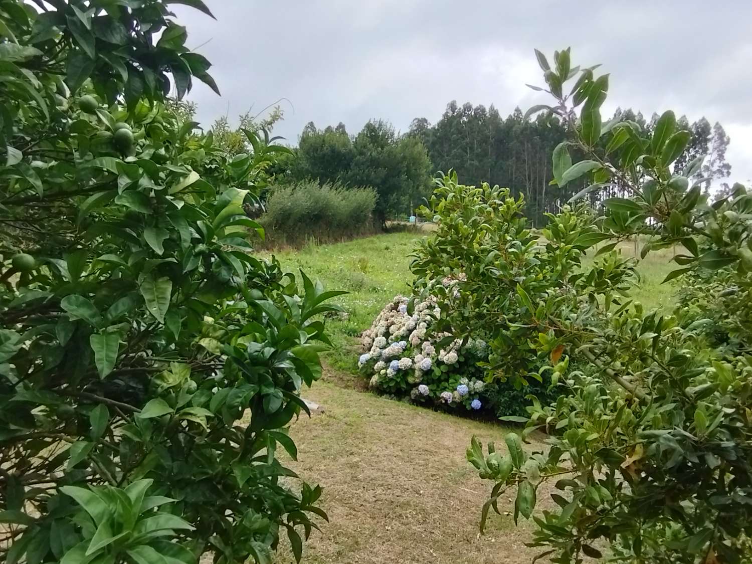 En venta casa en Patín, Valdoviño con vistas espectaculares.