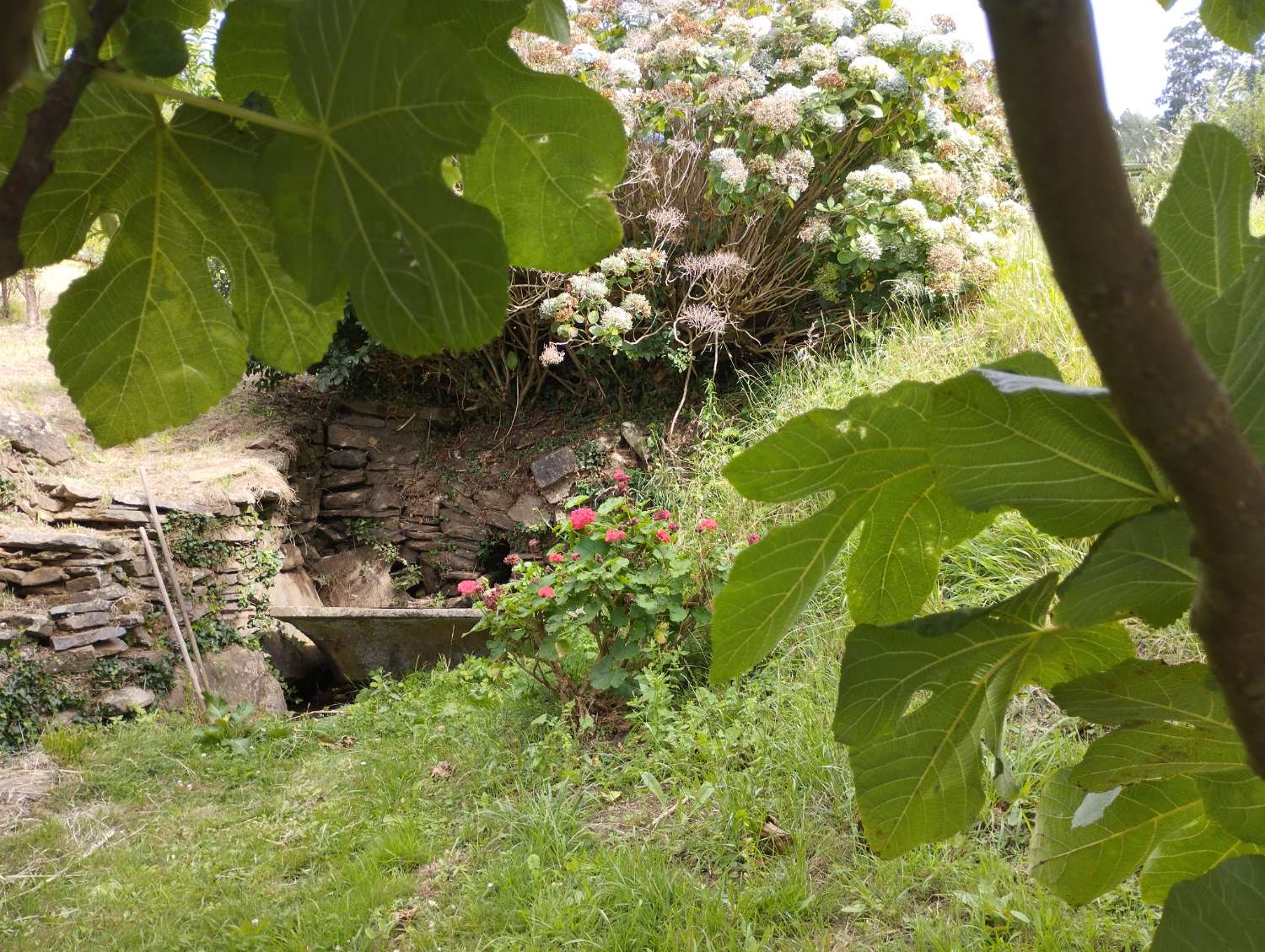 En venta casa en Patín, Valdoviño con vistas espectaculares.