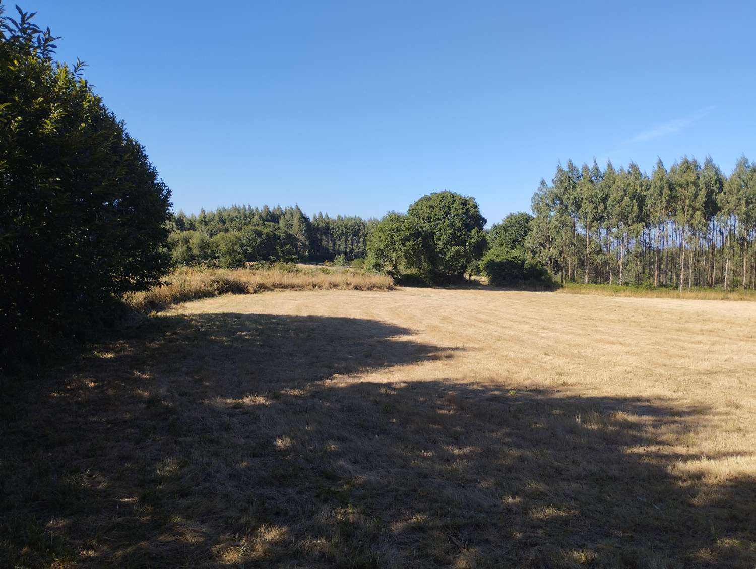 Parzelle zum verkauf in Begonte