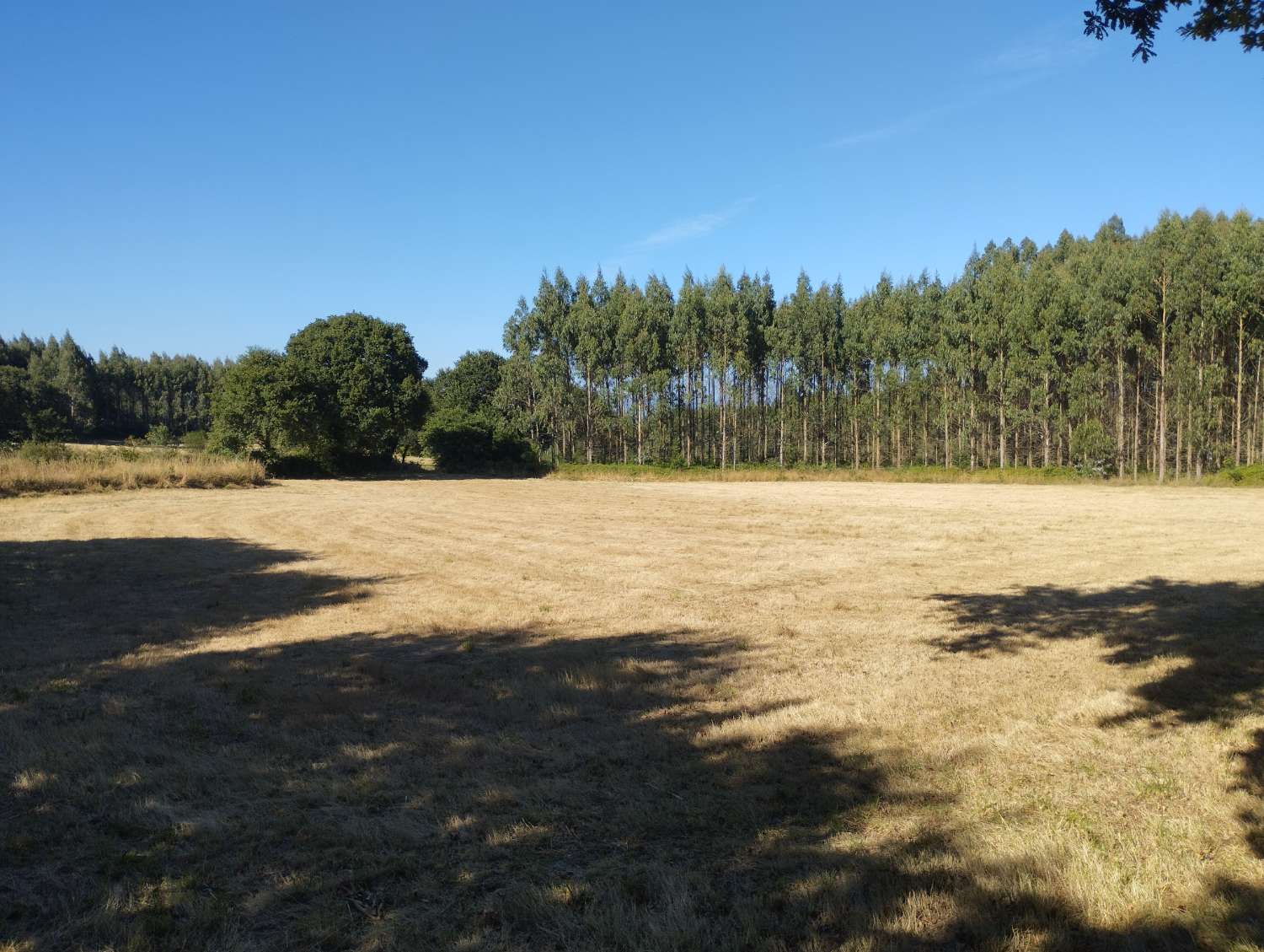 Parzelle zum verkauf in Begonte