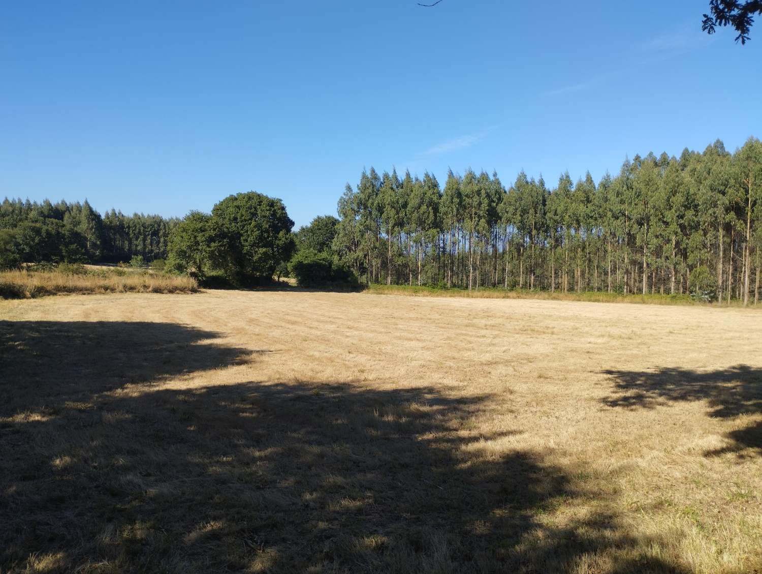 Parzelle zum verkauf in Begonte