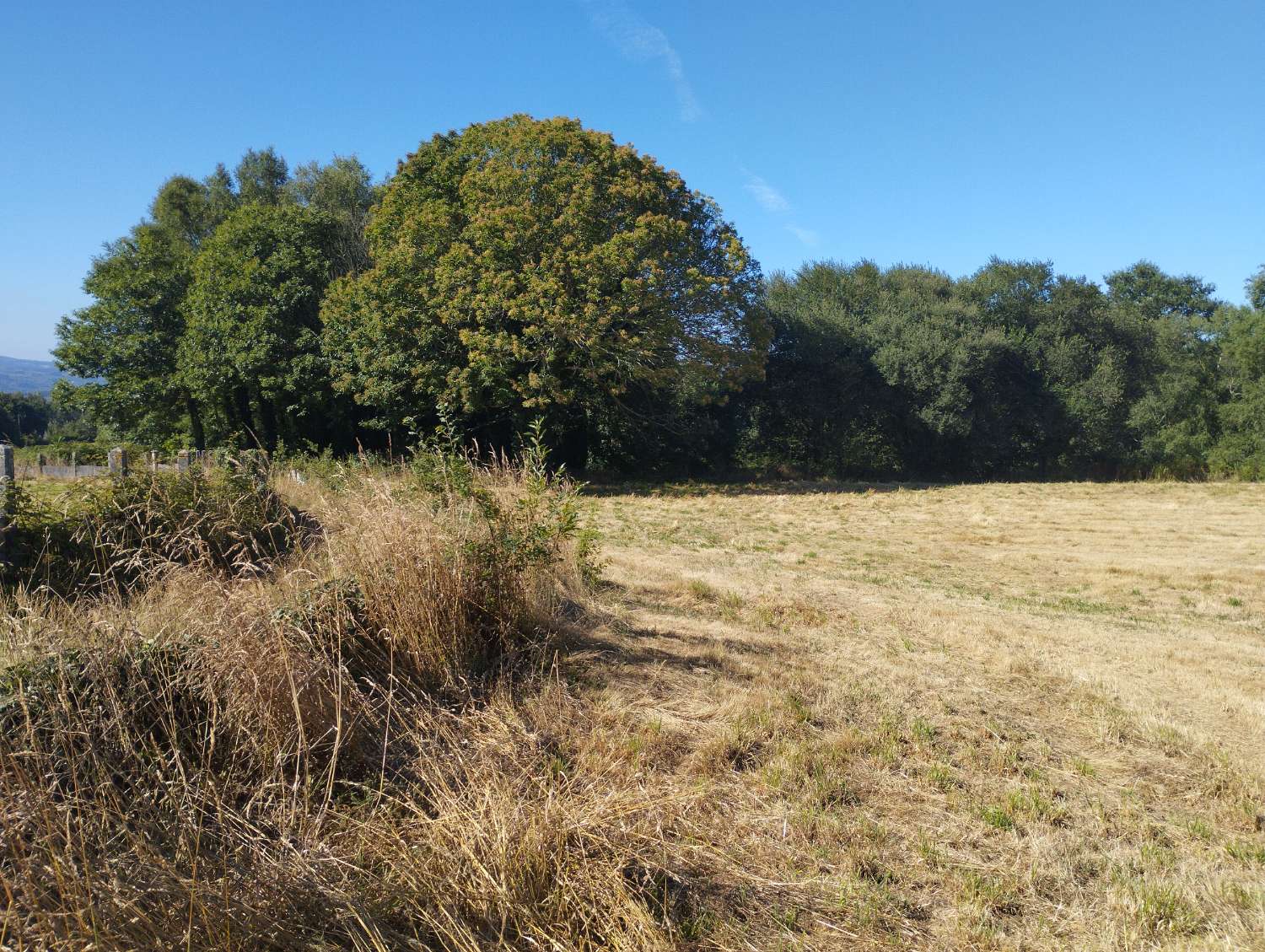 Parzelle zum verkauf in Begonte