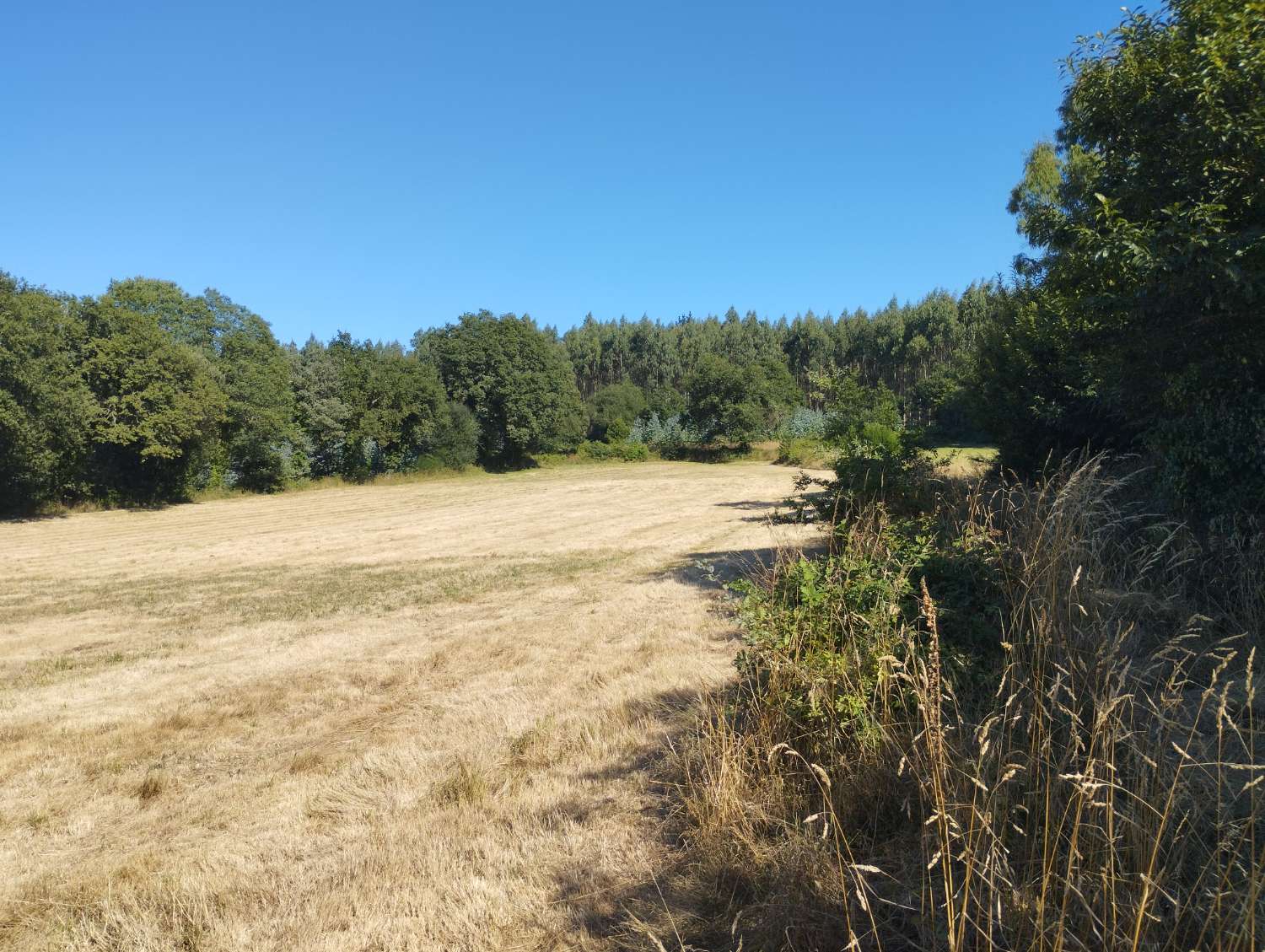 Parzelle zum verkauf in Begonte
