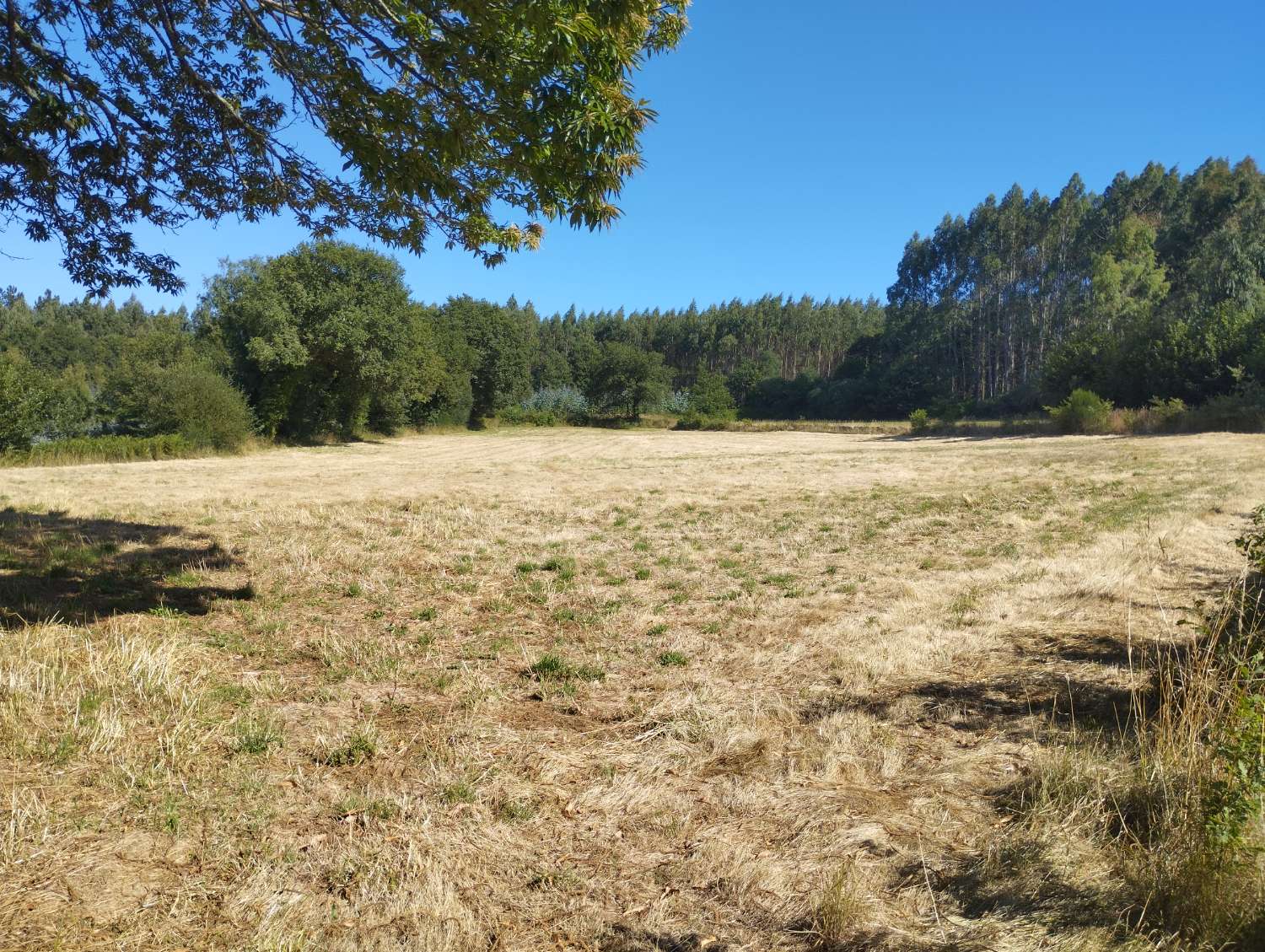 Parzelle zum verkauf in Begonte