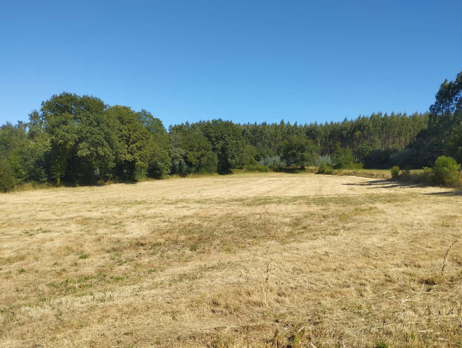 Parzelle zum verkauf in Begonte
