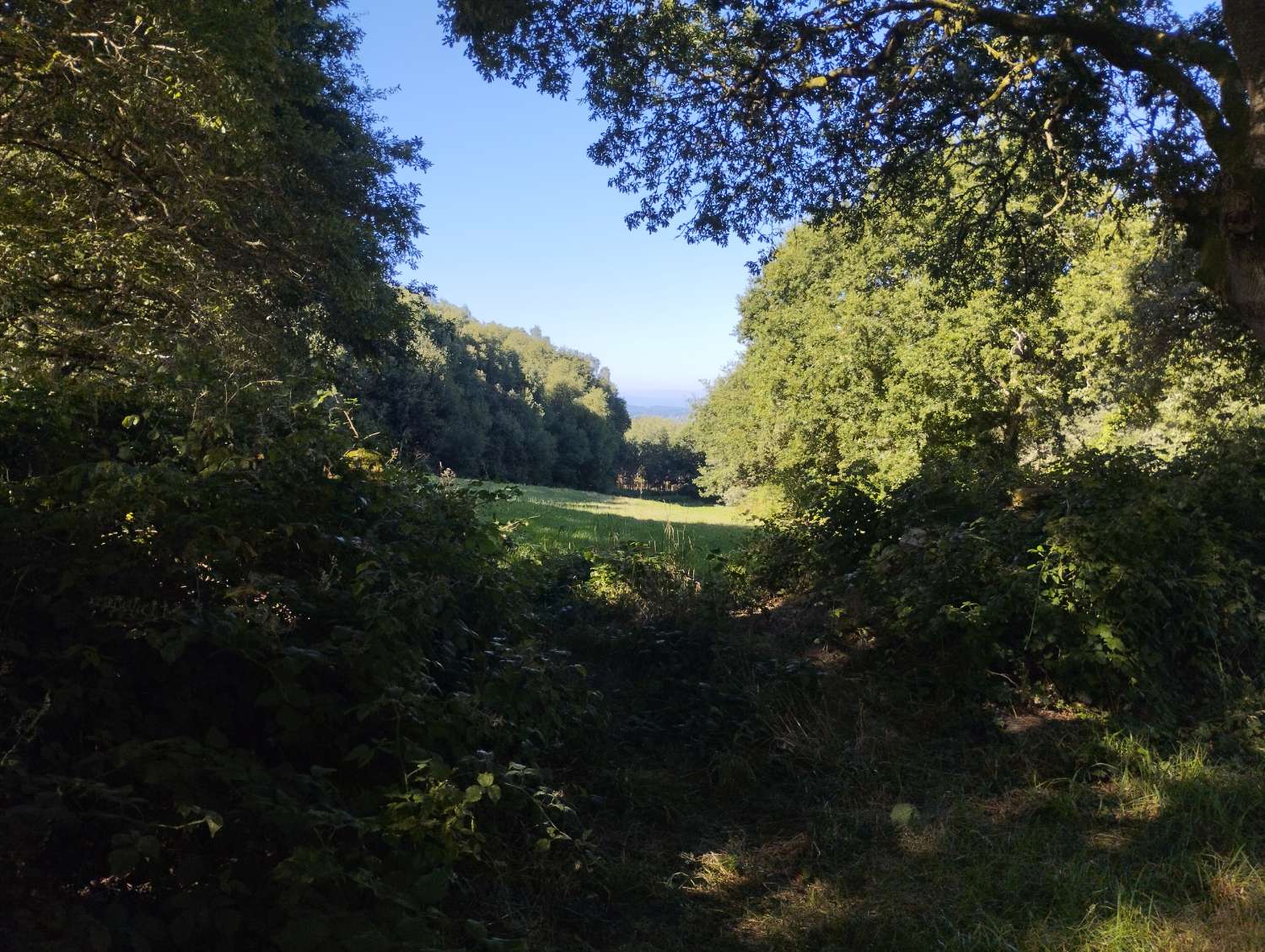 Parzelle zum verkauf in Begonte