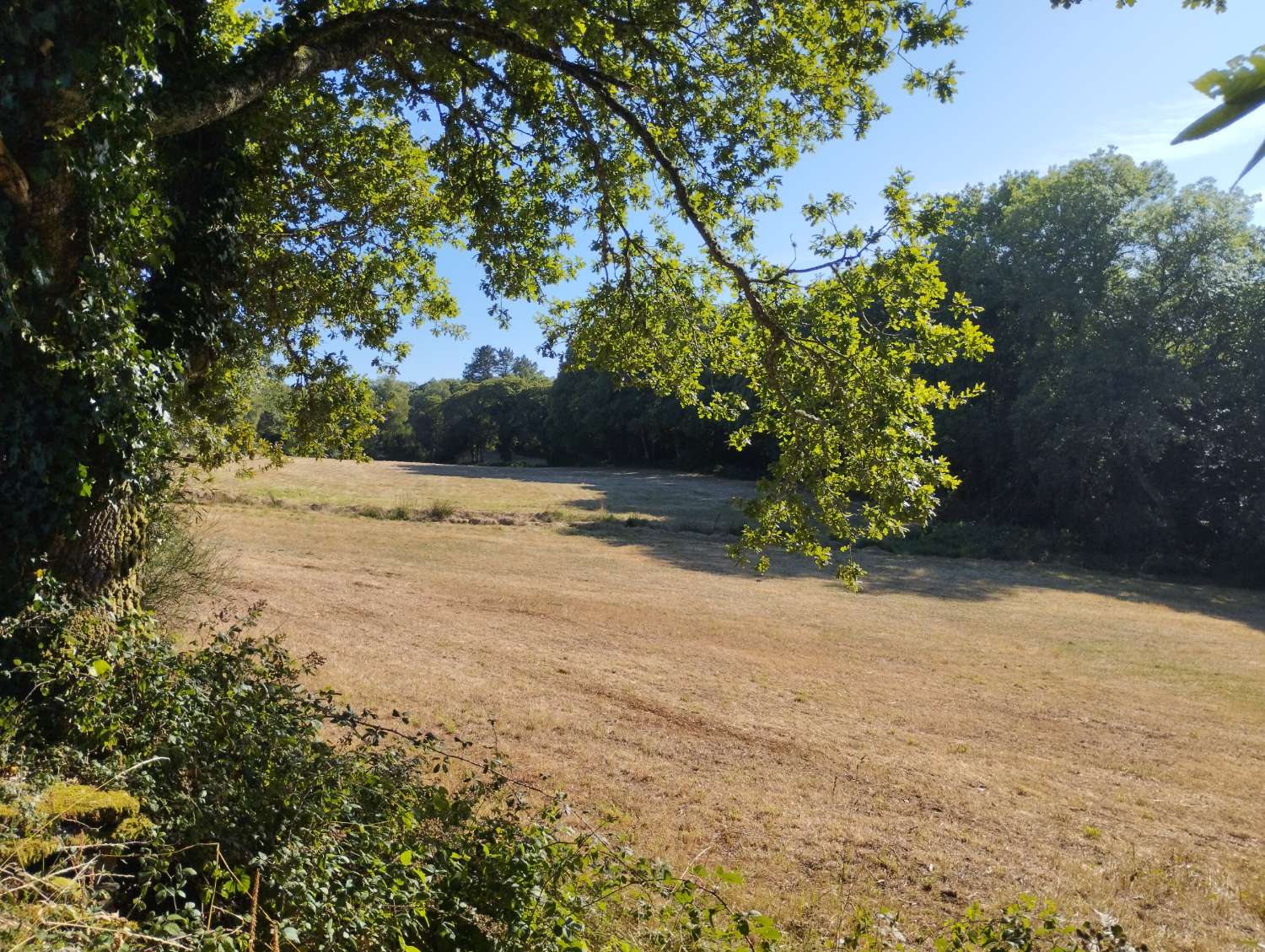 Parzelle zum verkauf in Begonte