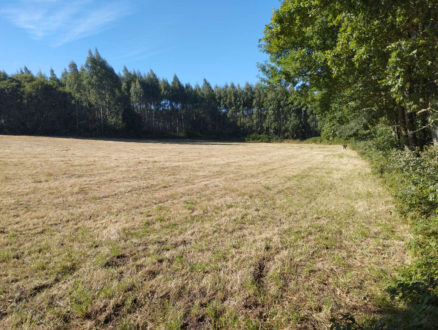 Parzelle zum verkauf in Begonte