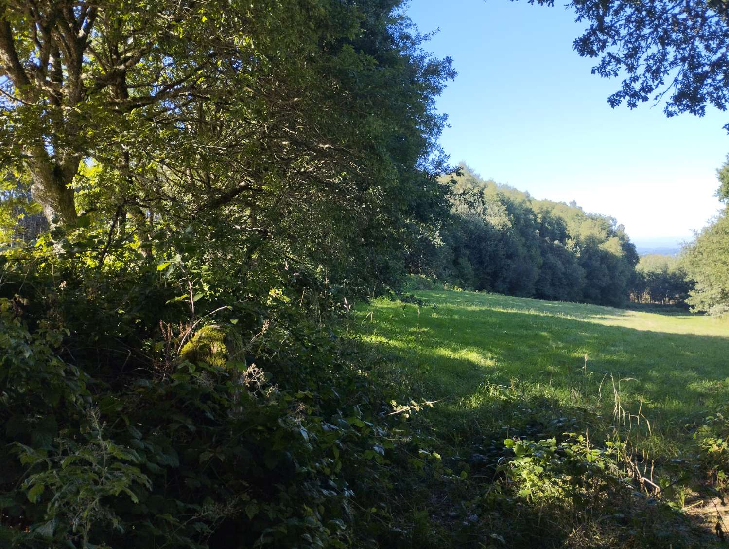 Parzelle zum verkauf in Begonte