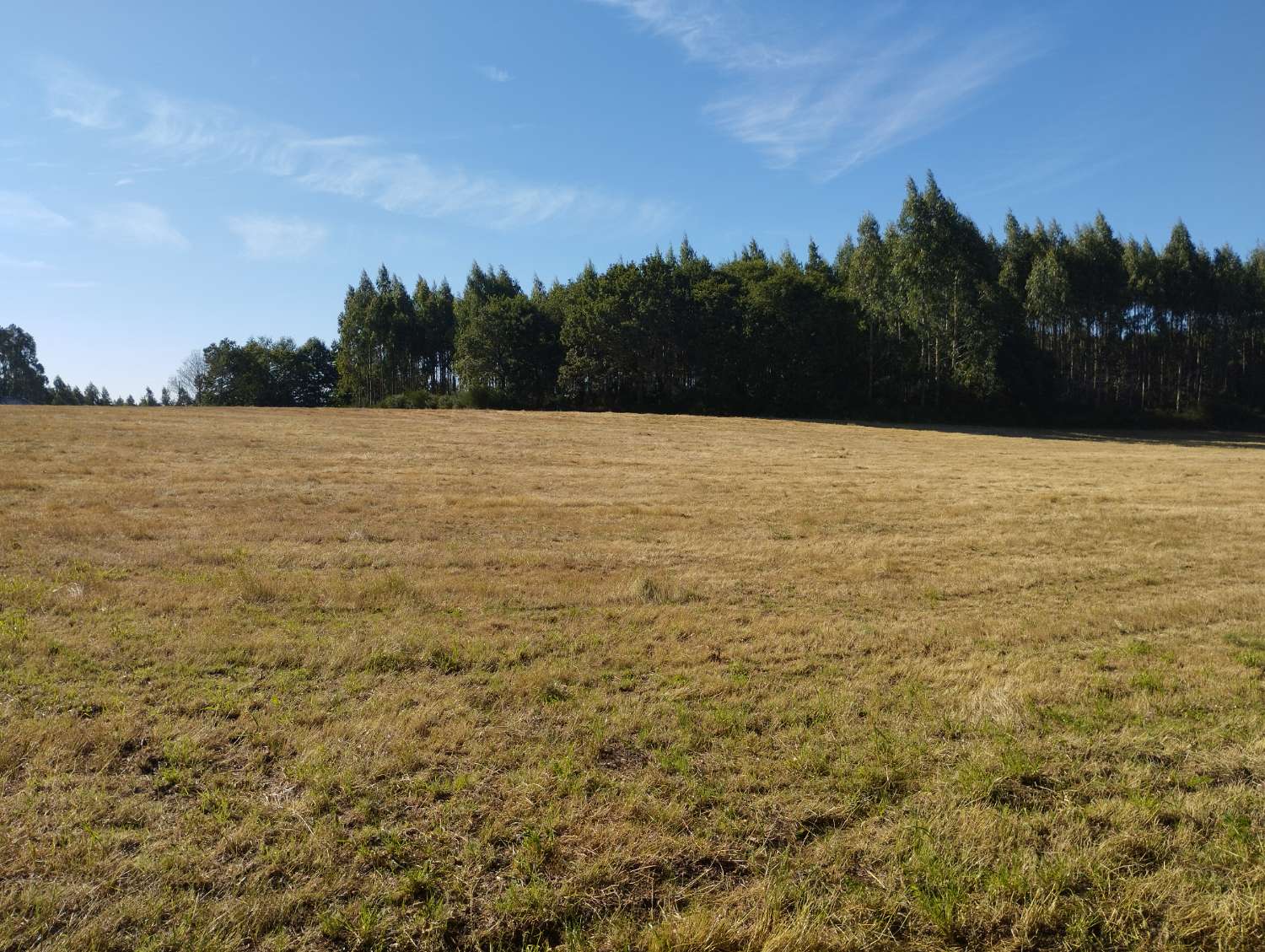 Parzelle zum verkauf in Begonte