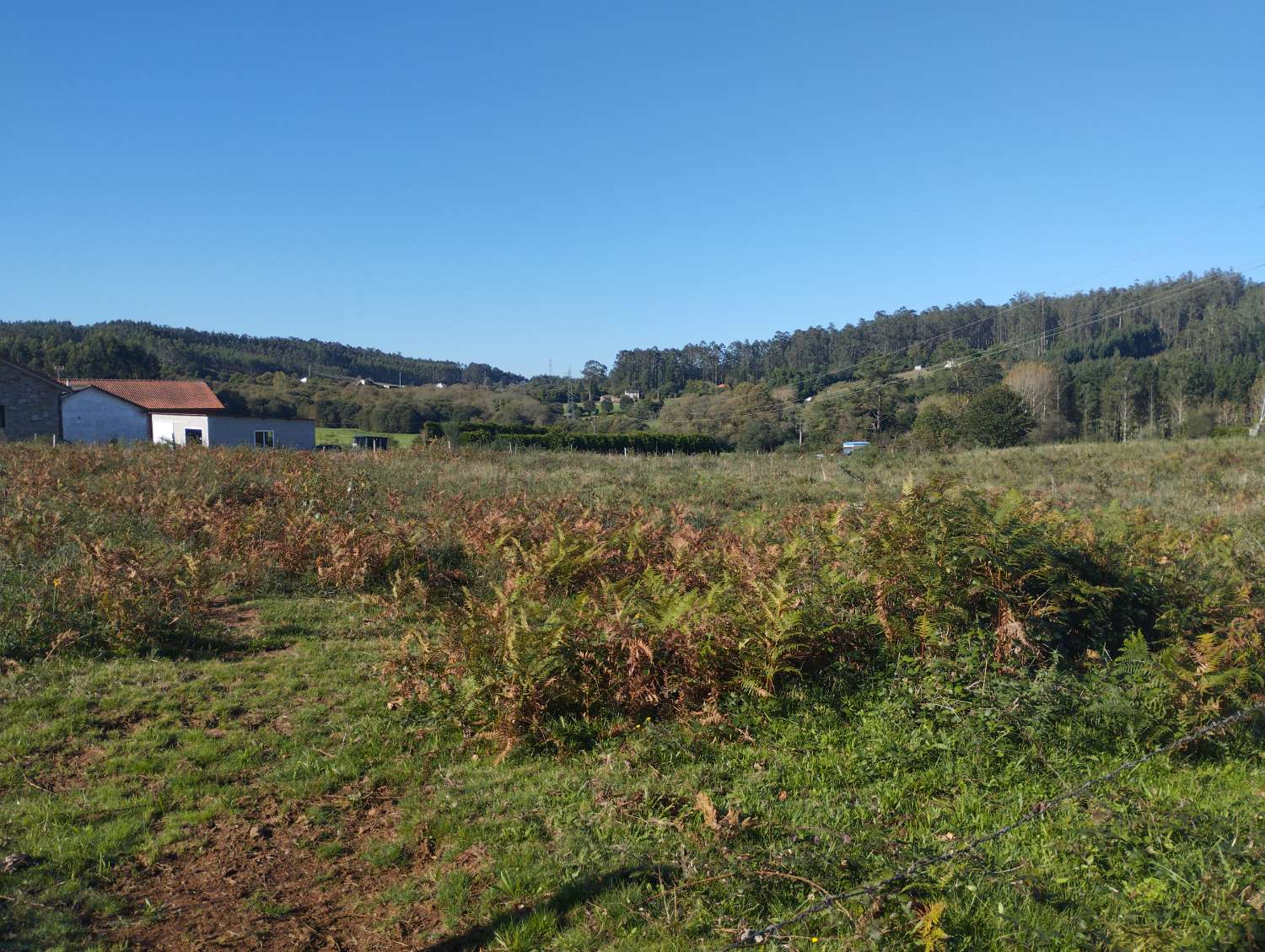 Parcelle en vente à San Sadurniño